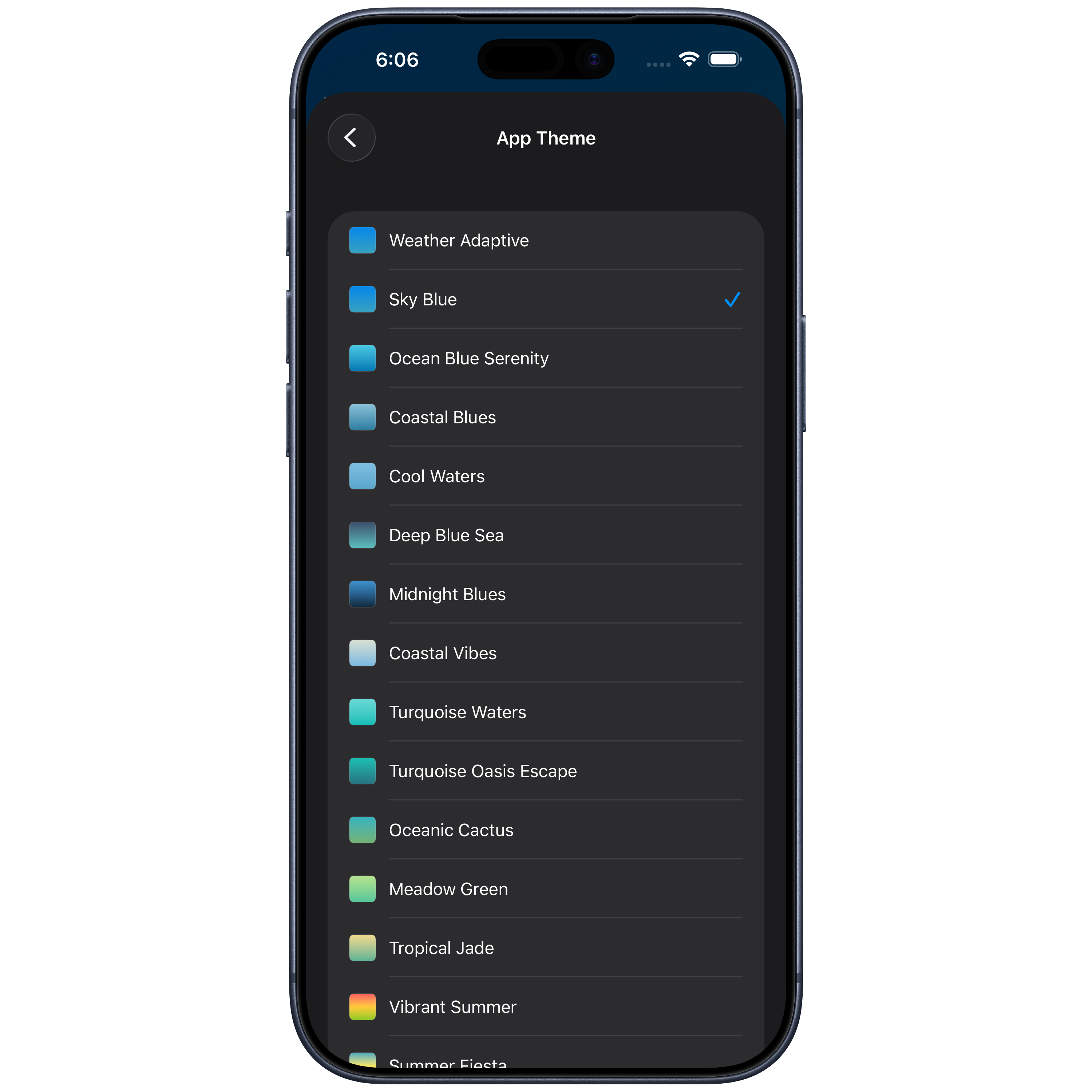 Settings Themes